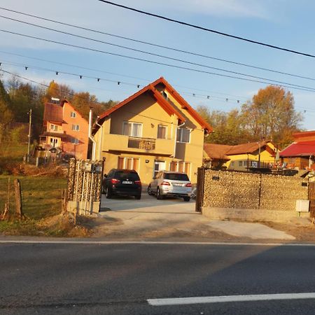 Steluta Villa Calimanesti Exterior photo